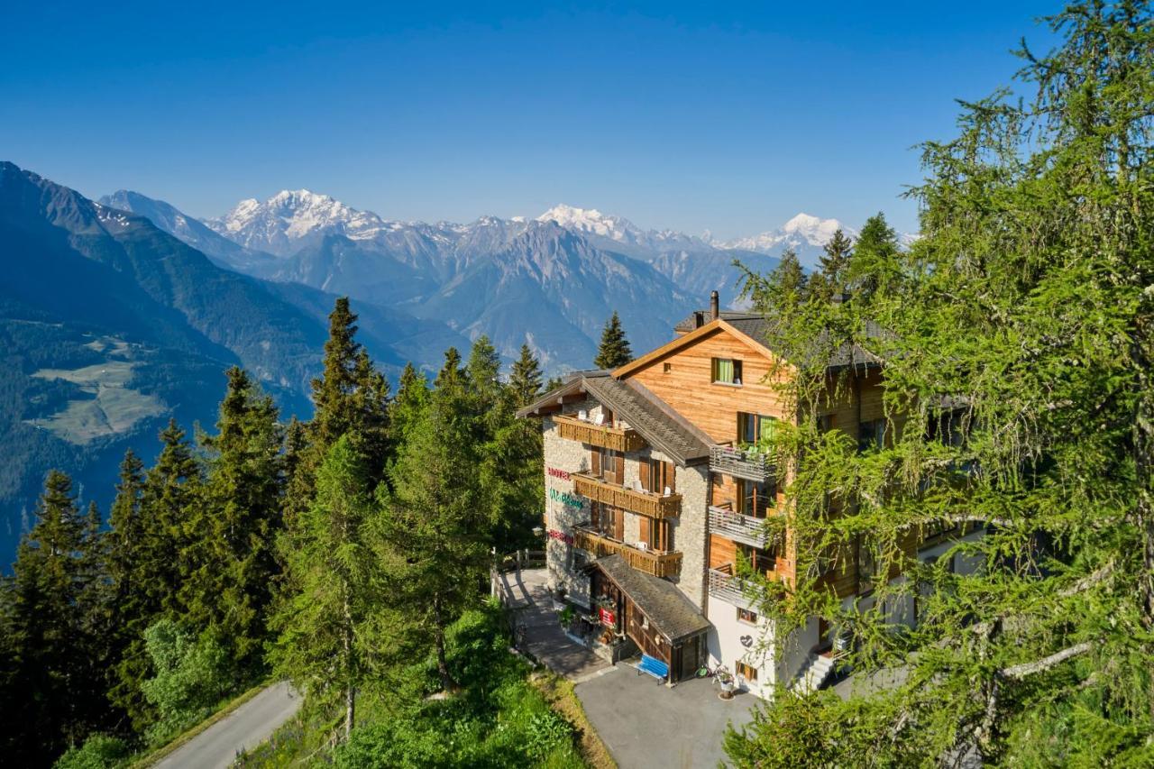 Waldhaus Hotel 3*